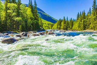 Top 10 Most Dangerous Rivers In The United States of America