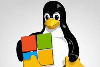 Learn Basic Linux Commands!