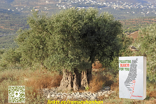 Why ‘Palestine Bleeds For You’?