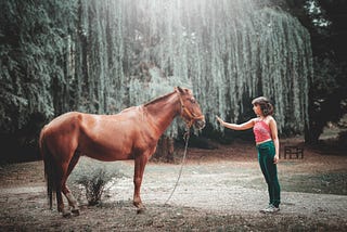 The Benefits of Animal-Assisted Therapy