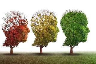 Retirement Cognitive Decline Reversal: 4 Strategies For Seniors