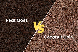 Coconut Coir vs Peat Moss