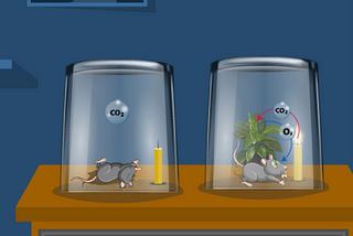 Early excellent experiments of photosynthesis for the discovery