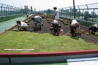 Revolutionizing Urban Landscapes with Innovative Green Roof Technology