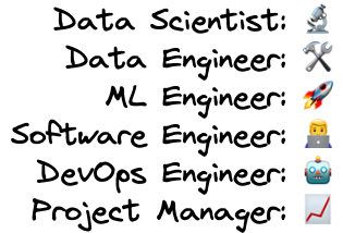 Cracking the Code of Data Science Team Structures