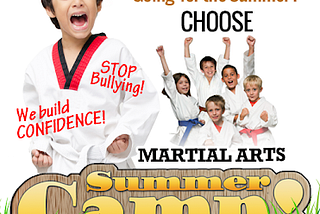 Mt Kicks TaeKwonDo — Summer Camp