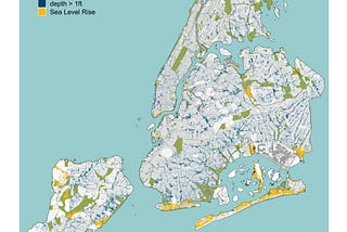 Beyond Flood Risk Mapping