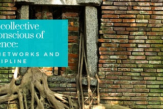 Our collective unconscious of violence: on networks and discipline