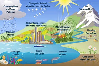 Essay on Global Warming