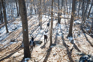 Hiking Bald Mountain