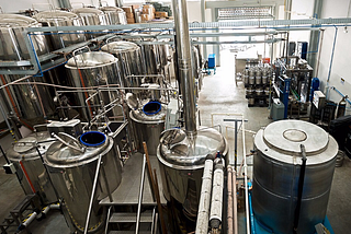 De ciganos a donos da própria fábrica: Cervejaria Synergy