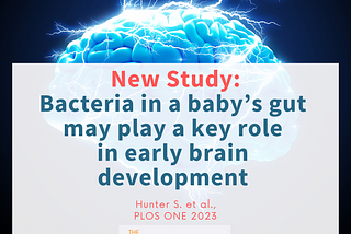 New study: Bacteria in a baby’s gut may play a key role in early brain development