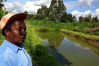 Aquaponics as a Tool for Balancing Agricultural Development