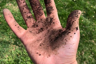 Image of a hand open with soil spread across it. There is grass in the background.