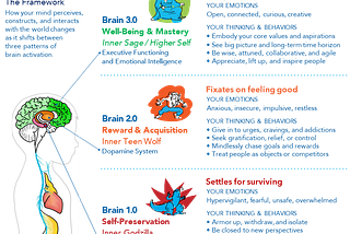 What is Brain 3.0 and Why Do We Need More of It?