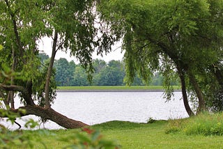 What’s up with the water? Understanding water quality and recreational programs