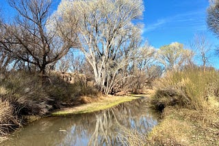 To Live and Die in Tombstone — Part I