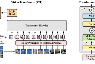 FDPNP9: Inside the Vision Transformer (Part 2)