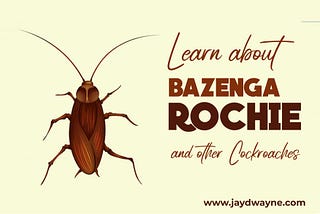 INTERESTING FACTS YOU SHOULD KNOW ABOUT COCKROACHES