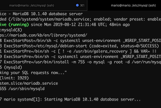 Mariadb Ubuntu Server 18.04