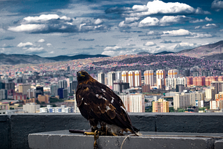 Trouble in Boom Town: climate change and rural-urban migration in Mongolia.