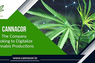 CANNACOR OVERVIEW: Where Cannabis Cultivation and Blockchain Technology Combine Seamlessly