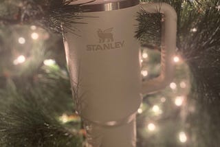 Stanley Tumblers Take the Lead: Drinkware brand dominates social media trendiness