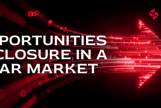 Stasis Network: Opportunities and Closure in a Bear Market