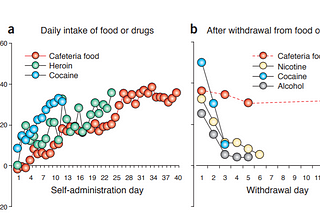 In Depth Look on Fast Food and Our Brain’s Relati