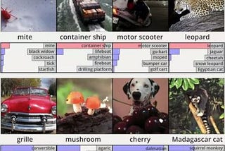 Analyzing the image and then assigning names that label the images