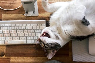 a cat lying belly up on a wooden desk surrounded by a phone stand, keyboard, and mouse with mousepad