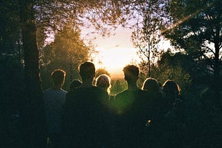 silhouette of group of people looking toward sunset through the trees