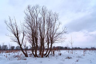 How to sleep in dry environments