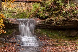 Walk, Woods, Waterfalls, and the Dharma: A Day of Discovery