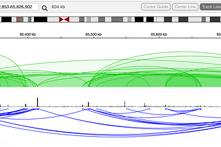 An IGV genome sequence visualization, as rendered by the Quilt web catalog