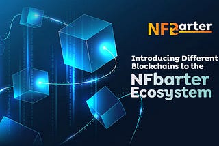 How Multi-Chain Accessibility Adds Value to the NFbarter Ecosystem