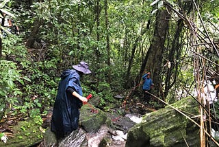 What No One Tells You About Careers In Wildlife