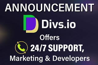 24x7 Support, Marketing & Developers on staff for DIVS.IO