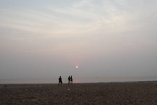 The Wisdom of an Olive Ridley Mother Turtle