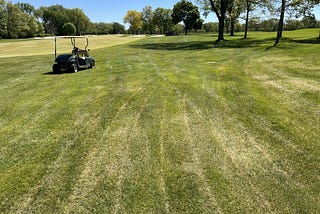 Cold Temps! Drying Down, Dollar Spot?, 1st ABW Larvae and Nematode Research