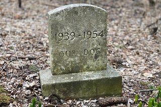 Every House Has a Story — Some Are Buried in the Backyard