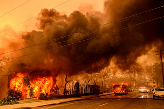 Our Mismanaged Social Ecology is Fueling Misinformation Wildfires