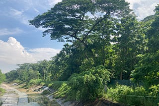 What is our relationship with nature (Part IV)