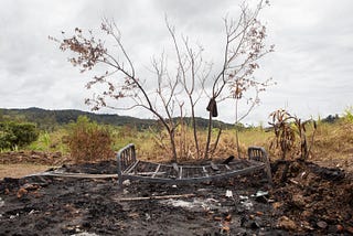 The old ways are gone: Papua New Guinea’s tribal wars become more destructive