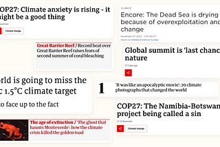 Screenshots of negative climate headlines like “Global summit is “last chance” for nature”