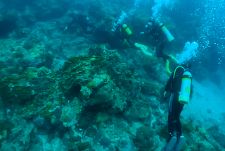 資安 x 潛水 x 風險管理：綠島的 Open Water Dive 開放水域潛水員證照訓練心得