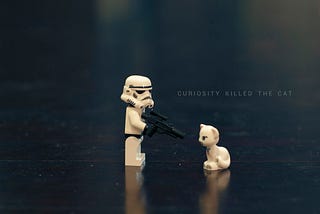 Curiosity - Killing the Cat