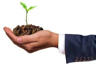 Top 5 Ways to Grow Your Small Web Agency