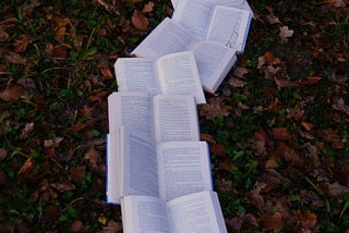 A trail of open books. Photo by Laura Kapfer. (Unsplash).