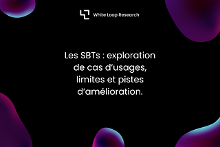 Les SBTs : exploration de cas d’usages, limites et pistes d’amélioration.